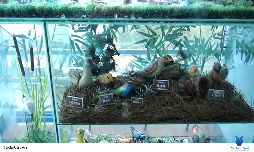 Hình ảnh thực tế chuyến du lịch đến Tỉnh Gangwon, Hàn Quốc Hình ảnh 19