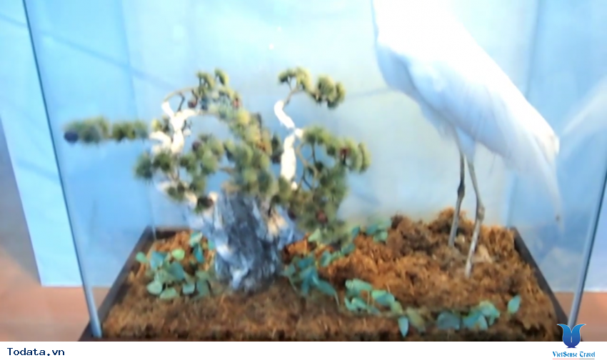 Hình ảnh thực tế chuyến du lịch đến Tỉnh Gangwon, Hàn Quốc Hình ảnh 22