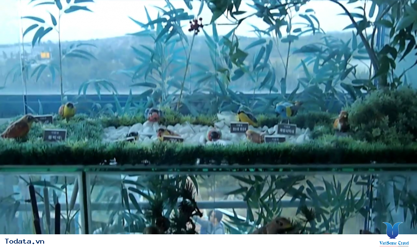 Hình ảnh thực tế chuyến du lịch đến Tỉnh Gangwon, Hàn Quốc Hình ảnh 15