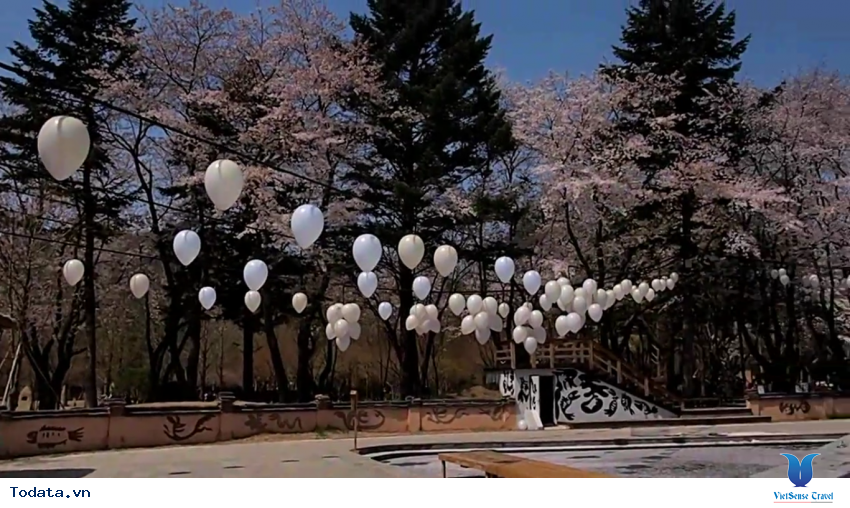 Hình ảnh thực tế chuyến du lịch đến Tỉnh Gangwon, Hàn Quốc Hình ảnh 9