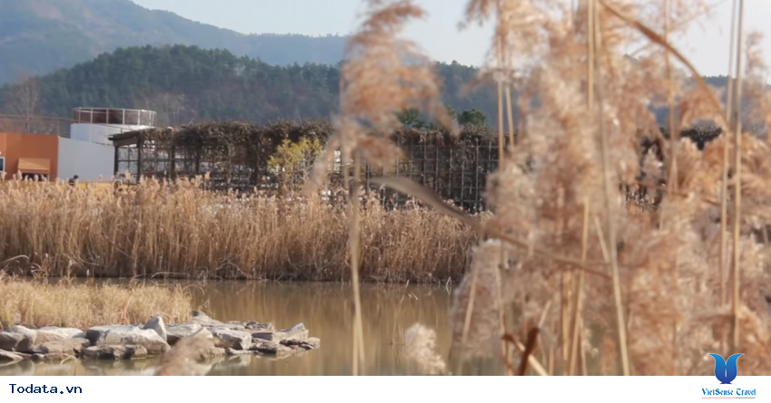 Hình ảnh Tỉnh Jeolla Nam trong chuyến đi du lịch Hàn Quốc Hình ảnh 25