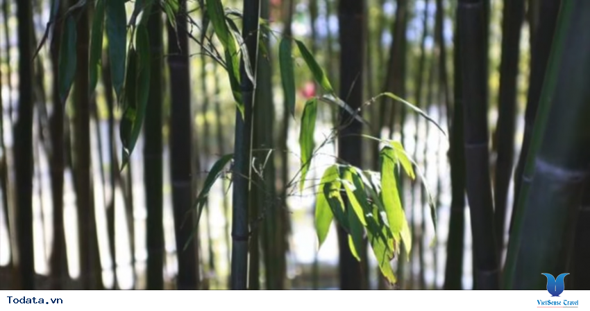 Hình ảnh Tỉnh Jeolla Nam trong chuyến đi du lịch Hàn Quốc Hình ảnh 5