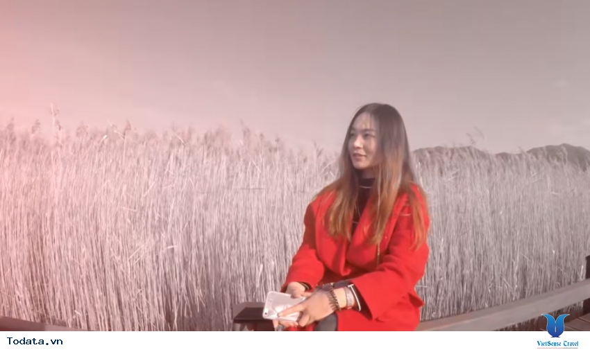 Hình ảnh Tỉnh Jeolla Nam trong chuyến đi du lịch Hàn Quốc Hình ảnh 9