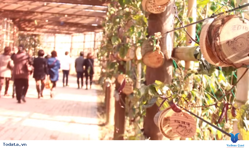 Hình ảnh Tỉnh Jeolla Nam trong chuyến đi du lịch Hàn Quốc Hình ảnh 26