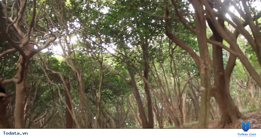 Hình ảnh Tỉnh Jeolla Nam trong chuyến đi du lịch Hàn Quốc Hình ảnh 15