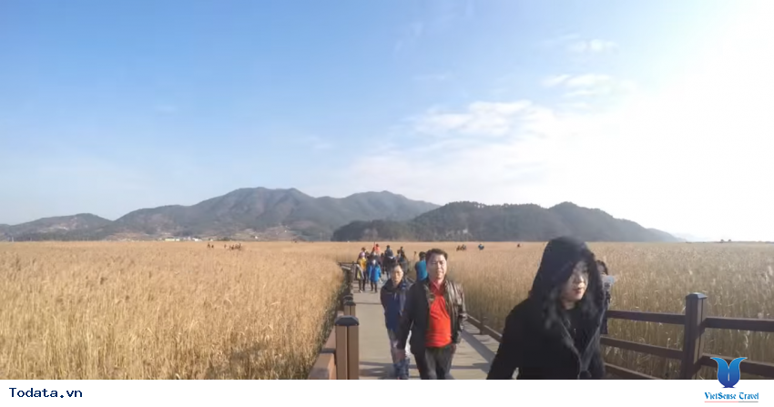 Hình ảnh Tỉnh Jeolla Nam trong chuyến đi du lịch Hàn Quốc Hình ảnh 24