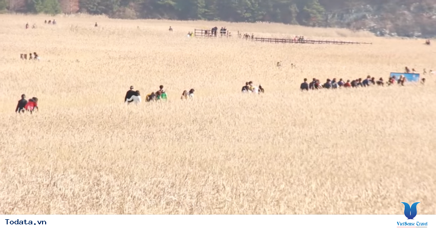 Hình ảnh Tỉnh Jeolla Nam trong chuyến đi du lịch Hàn Quốc Hình ảnh 22