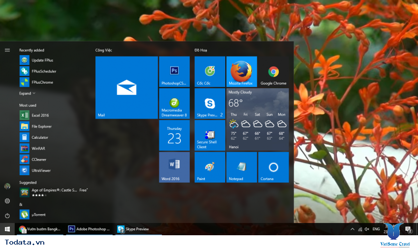 Hình ảnh vườn bướm Butterfly Garden ở Thái Lan Hình ảnh 13 Hình ảnh vườn bướm Butterfly Garden ở Thái Lan Hình ảnh 13