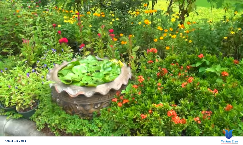 Hình ảnh vườn bướm Butterfly Garden ở Thái Lan Hình ảnh 25 Hình ảnh vườn bướm Butterfly Garden ở Thái Lan Hình ảnh 25