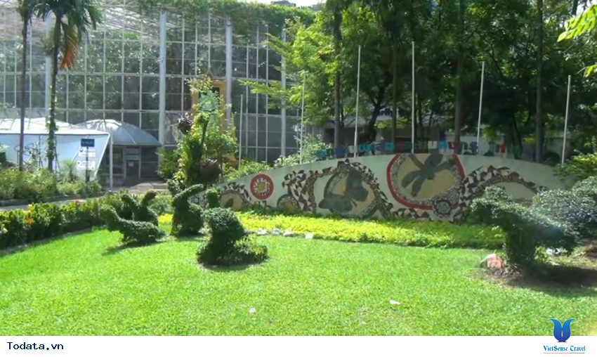 Hình ảnh vườn bướm Butterfly Garden ở Thái Lan Hình ảnh 23 Hình ảnh vườn bướm Butterfly Garden ở Thái Lan Hình ảnh 23