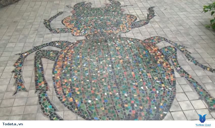 Hình ảnh vườn bướm Butterfly Garden ở Thái Lan Hình ảnh 10 Hình ảnh vườn bướm Butterfly Garden ở Thái Lan Hình ảnh 10