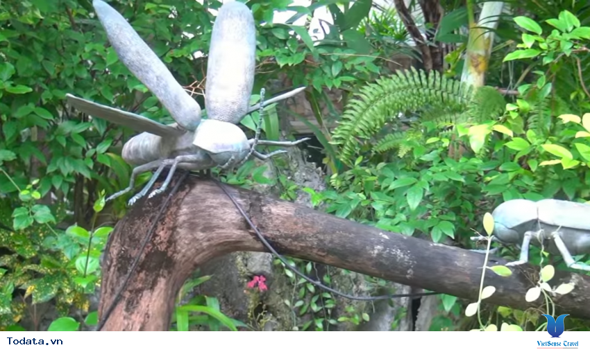 Hình ảnh vườn bướm Butterfly Garden ở Thái Lan Hình ảnh 17 Hình ảnh vườn bướm Butterfly Garden ở Thái Lan Hình ảnh 17