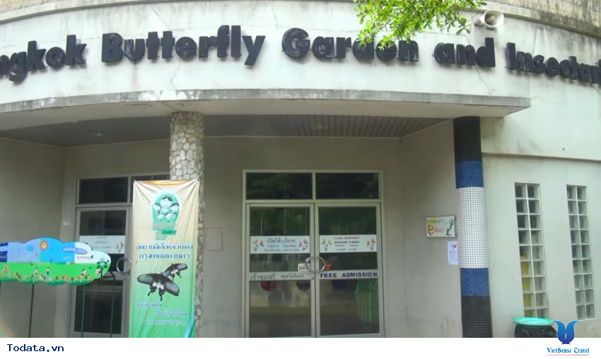 Hình ảnh vườn bướm Butterfly Garden ở Thái Lan Hình ảnh 16 Hình ảnh vườn bướm Butterfly Garden ở Thái Lan Hình ảnh 16