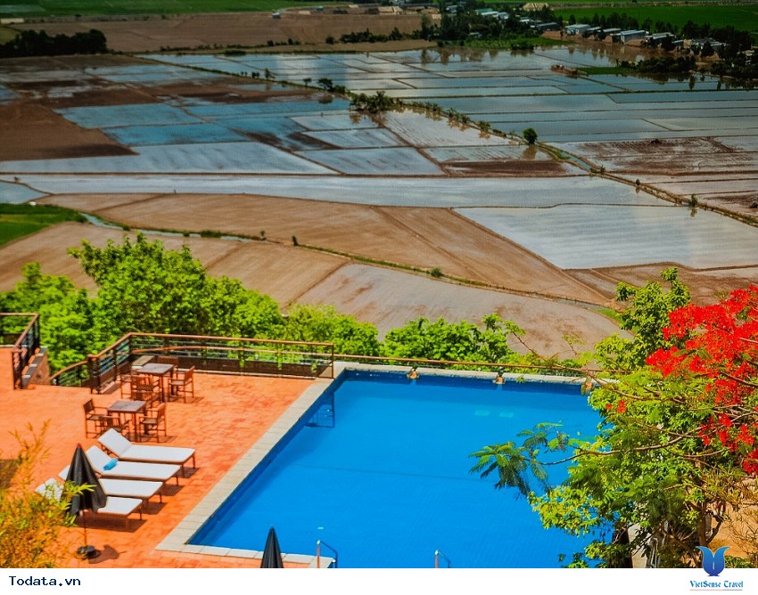 Hồ bơi nhìn ra cánh đồng lúa ở An Giang Hình ảnh 1