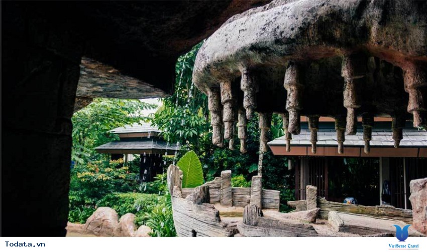 Hòa mình vào  công viên nước Adventure Cove Singapore Hình ảnh 3