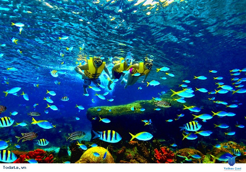 Hòa mình vào  công viên nước Adventure Cove Singapore Hình ảnh 2