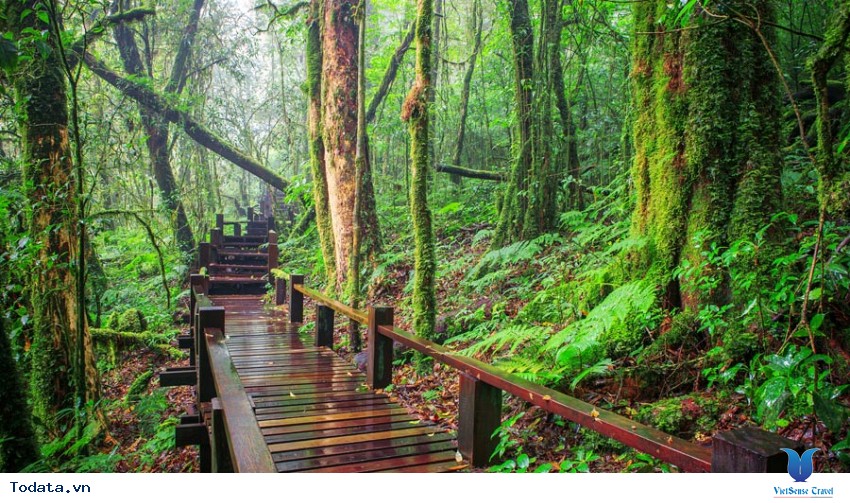 Hòa mình vào Công Viên Quốc Gia Doi Inthanon vào thiên nhiên với Hình ảnh 2 Hòa mình vào Công Viên Quốc Gia Doi Inthanon vào thiên nhiên với Hình ảnh 2