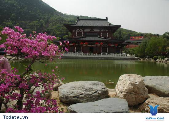 Hoa Thanh Trì- Suối Tắm Nước Nóng Của Đường Minh Hoàng Hình ảnh 1