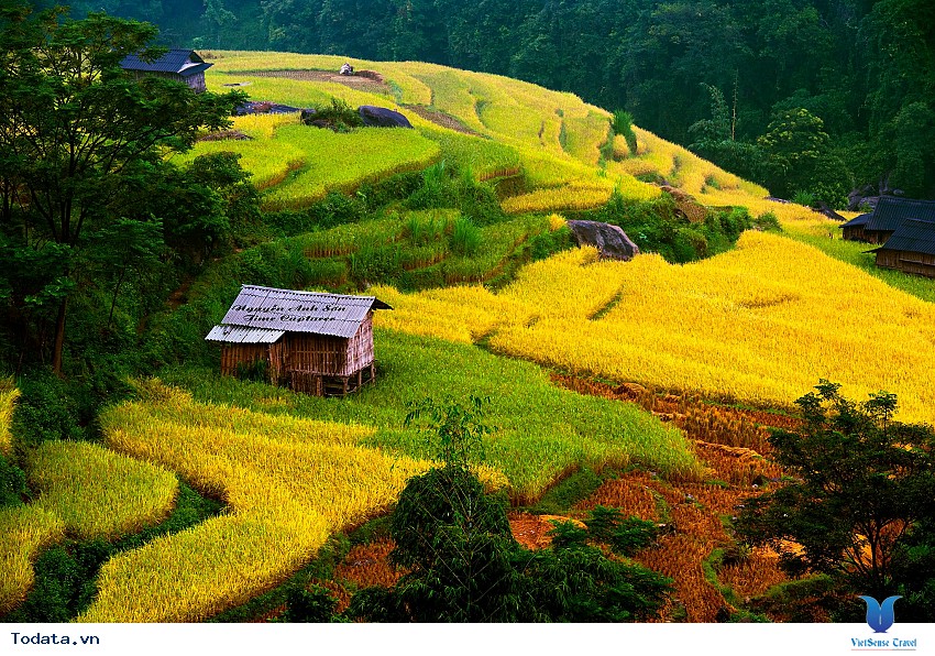 Hoàng Su Phì Hà Giang Hình ảnh 1 Hoàng Su Phì Hà Giang Hình ảnh 1