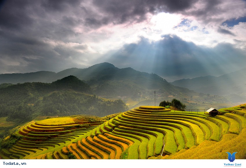 Hoàng Su Phì Mùa Lúa Chín Hình ảnh 5