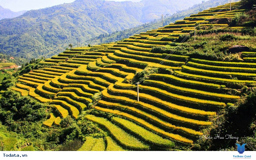 Hoàng Su Phì Mùa Lúa Chín Hình ảnh 1