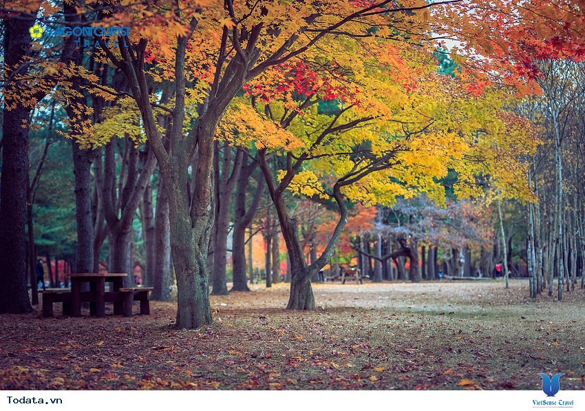 Hòn Đảo Lãng Mạn Nami Hình ảnh 2