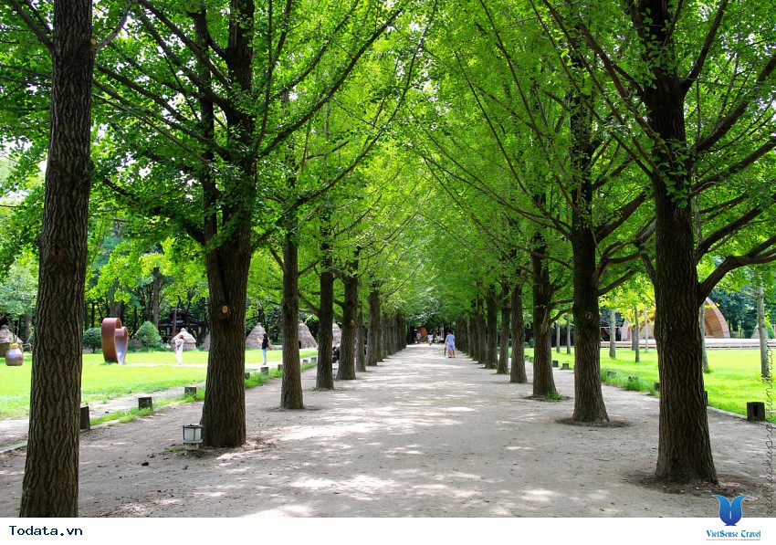 Hòn Đảo Lãng Mạn Nami Hình ảnh 3