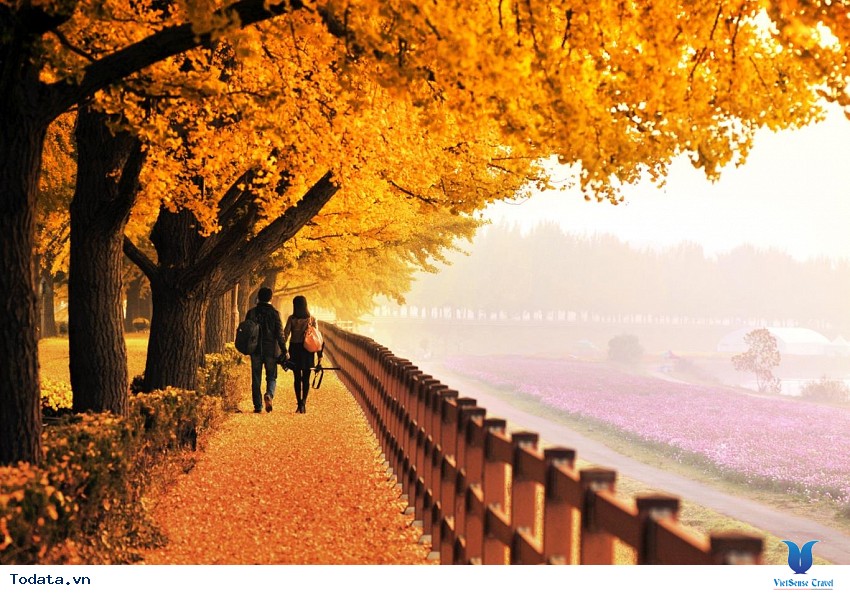 Hòn Đảo Lãng Mạn Nami Hình ảnh 1