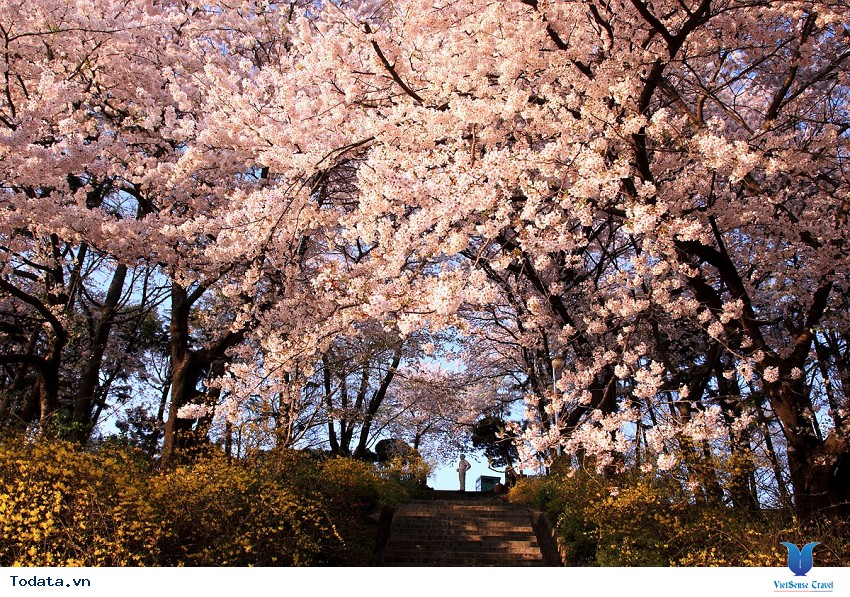 Incheon- Thành Phố Hướng Tới Tương Lai Hình ảnh 5