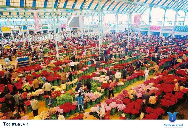 Khám Phá Côn Minh Hình ảnh 5