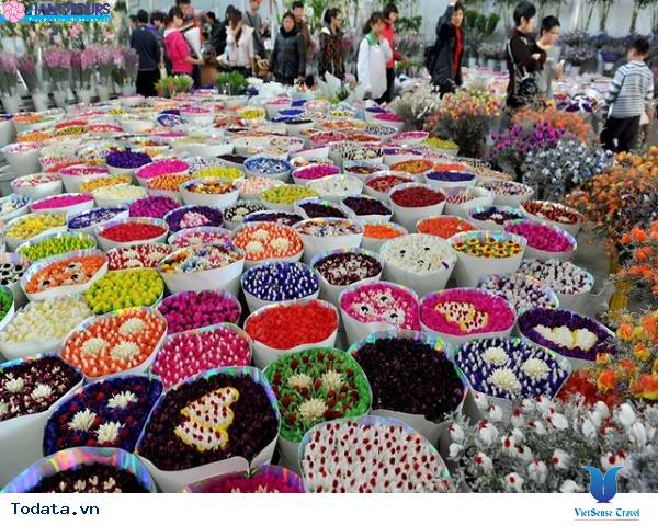 Khám Phá Côn Minh Hình ảnh 6