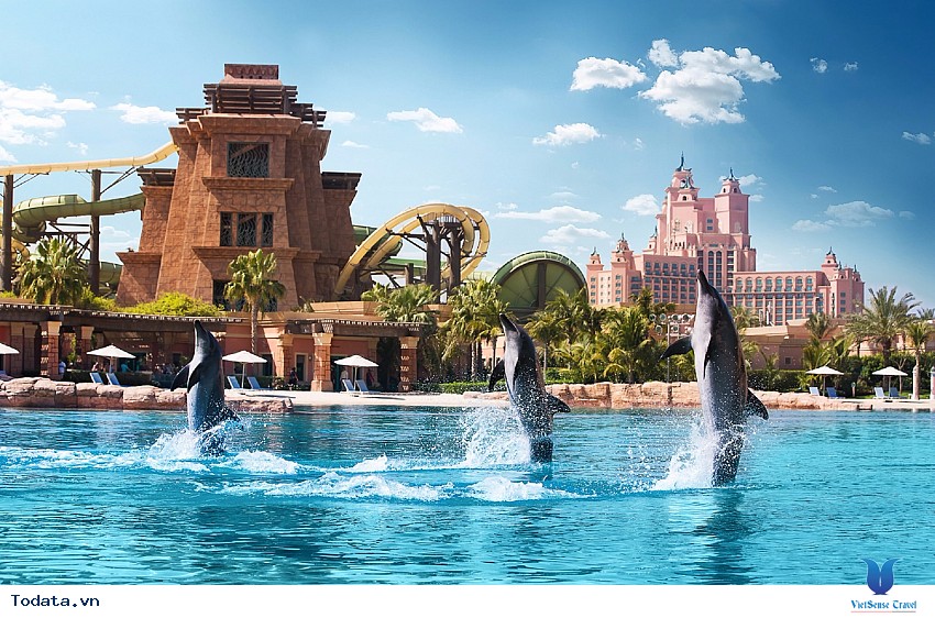 Khám Phá công Viên Nước Giải Trí Nổi Tiếng Dubai Aquaventure Park Hình ảnh 2