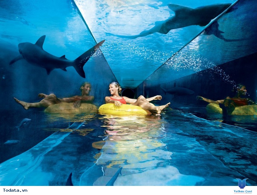 Khám Phá công Viên Nước Giải Trí Nổi Tiếng Dubai Aquaventure Park Hình ảnh 1
