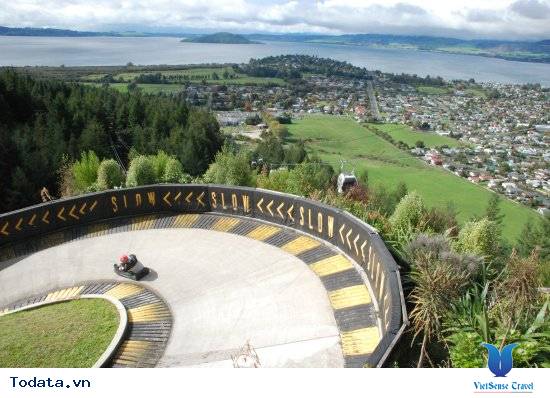 Khám phá đua xe Luge và đi cáp treo mở Skyline Hình ảnh 2