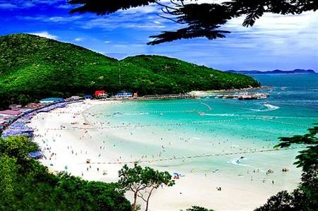 Khám phá hòn đảo xinh đẹp Coral Hình ảnh 3