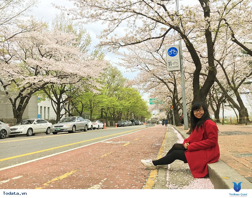 Khám Phá Hòn Đảo Yeuido Hình ảnh 4