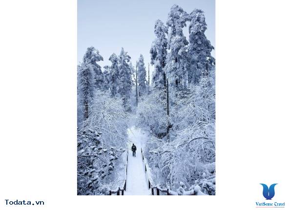 Khám Phá Huyền Thoại Nga Mi Sơn Hình ảnh 2