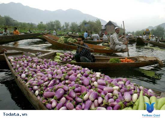 Khám phá khu Chợ Nổi Damnoen Saduak Hình ảnh 3