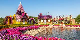 Khám Phá Khu Vườn Hoa Kỳ Diệu Tại Dubai Hình ảnh 1