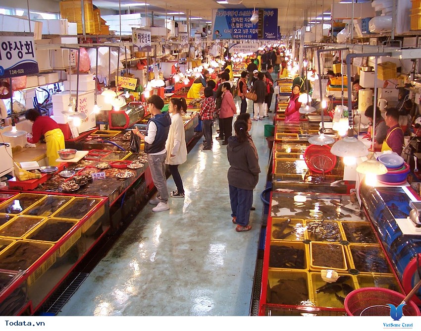 Khám Phá Thành Phố Busan Hình ảnh 2