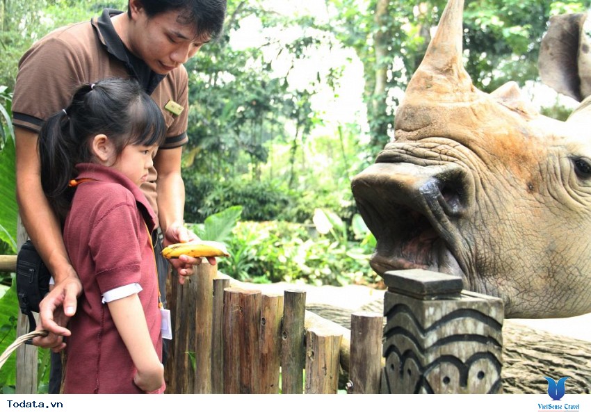 Khám phá thế giới động vật trong Singapore Zoo Hình ảnh 2