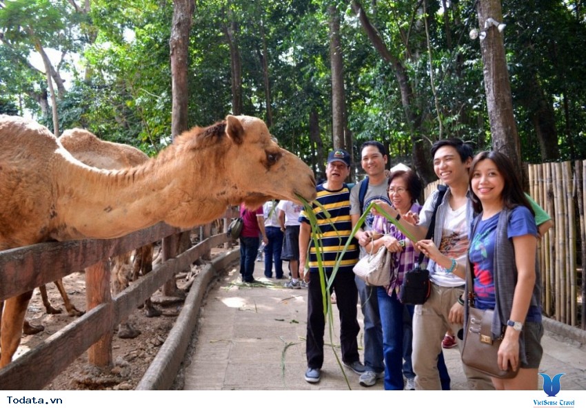 Khám phá thế giới động vật trong Singapore Zoo Hình ảnh 1