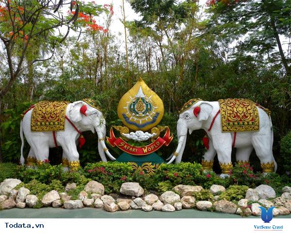 Khám phá thế giới tự nhiên từ công viên Safari World Hình ảnh 3 Khám phá thế giới tự nhiên từ công viên Safari World Hình ảnh 3