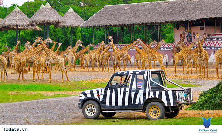 Khám phá thế giới tự nhiên từ công viên Safari World Hình ảnh 1 Khám phá thế giới tự nhiên từ công viên Safari World Hình ảnh 1