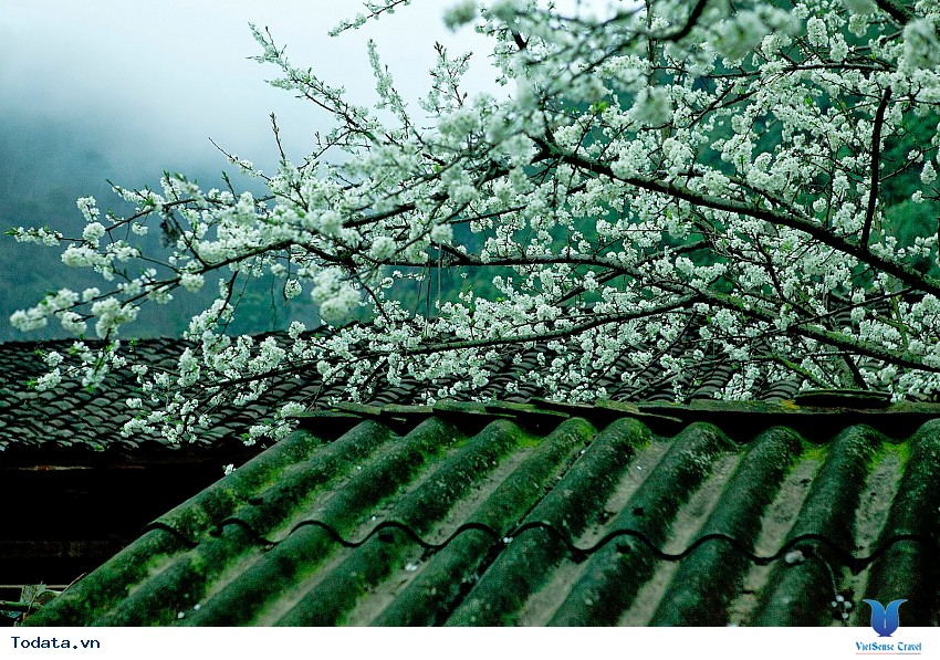 Khám phá thung lũng Sủng Là Hình ảnh 1