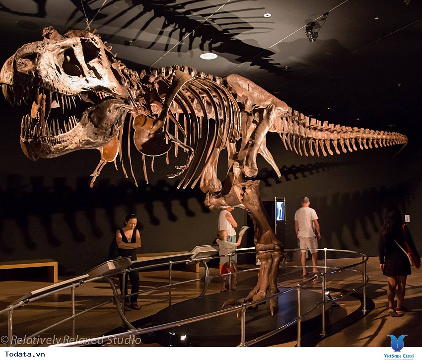 Khám phá trung tâm khoa học Singapore và rạp chiếu phim Omi Hình ảnh 3