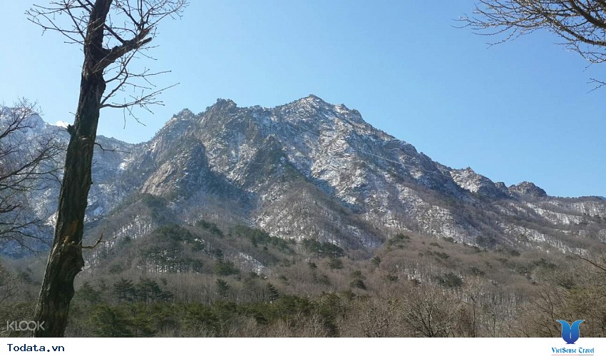 Khám Phá Vẻ Đẹp Tiềm Ẩn Núi Seorak Hình ảnh 1