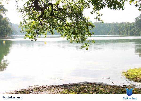 Không khí trong lành MacRitchie Nature Trail & Reservoir Park Hình ảnh 1 Không khí trong lành MacRitchie Nature Trail & Reservoir Park Hình ảnh 1