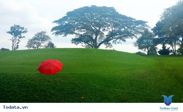 Không khí trong lành MacRitchie Nature Trail & Reservoir Park Hình ảnh 3 Không khí trong lành MacRitchie Nature Trail & Reservoir Park Hình ảnh 3