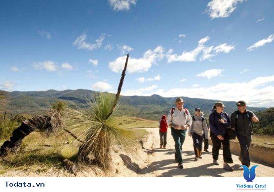 Khu Bảo Tồn Hoang Dã Rộng Lớn Ras Al Khor Hình ảnh 5